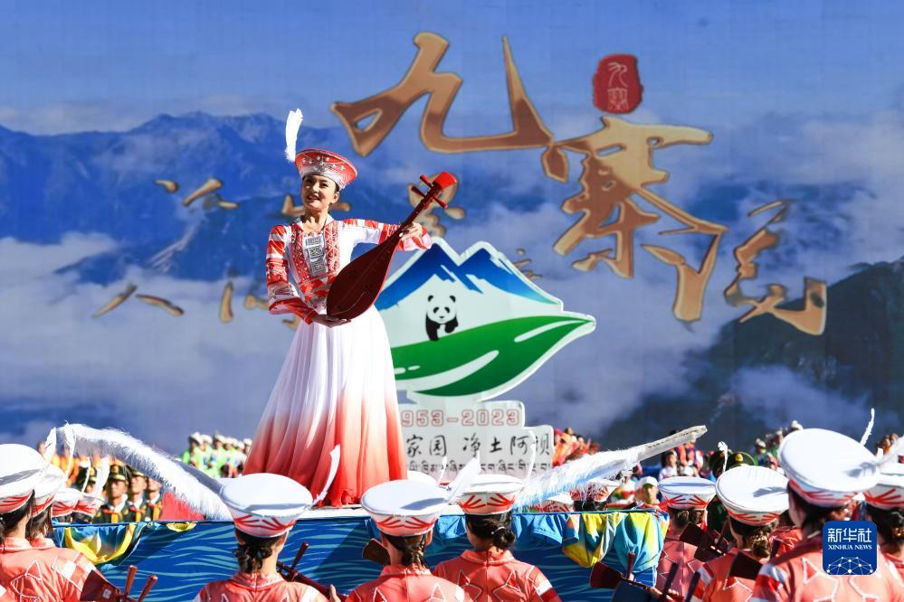 w600娱乐